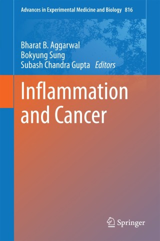 Cover image: Inflammation and Cancer 9783034808361