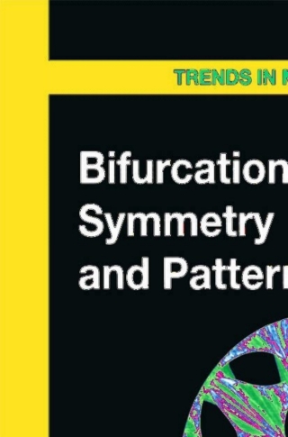 Imagen de portada: Bifurcation, Symmetry and Patterns 1st edition 9783764370206