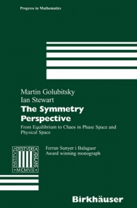 Omslagafbeelding: The Symmetry Perspective 9783764366094