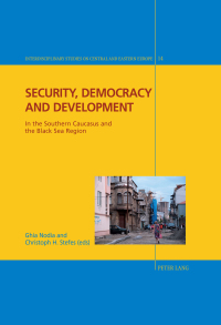 Cover image: Security, Democracy and Development 1st edition 9783034313001