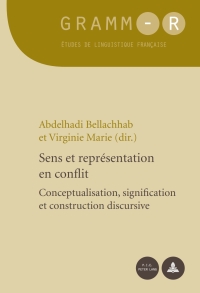 Cover image: Sens et représentation en conflit 1st edition 9789052017822