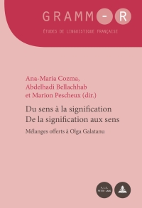 Cover image: Du sens à la signification / De la signification aux sens 1st edition 9782875742131