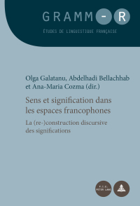 Cover image: Sens et signification dans les espaces francophones 1st edition 9782875743336
