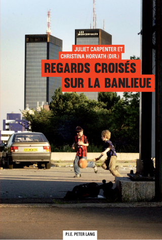 صورة الغلاف: Regards croisés sur la banlieue 1st edition 9782875742643
