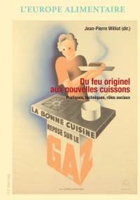 Imagen de portada: Du feu originel aux nouvelles cuissons 1st edition 9782875742285