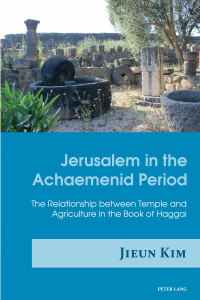 Omslagafbeelding: Jerusalem in the Achaemenid Period 1st edition 9783034322102