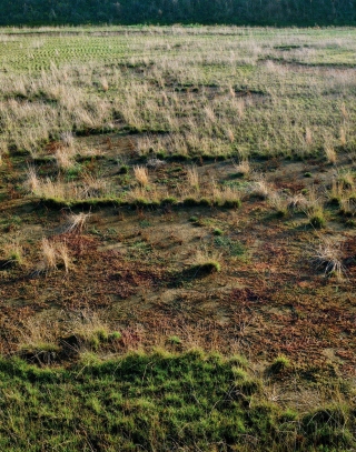 Cover image: Transforming Landscapes 1st edition 9783038219828