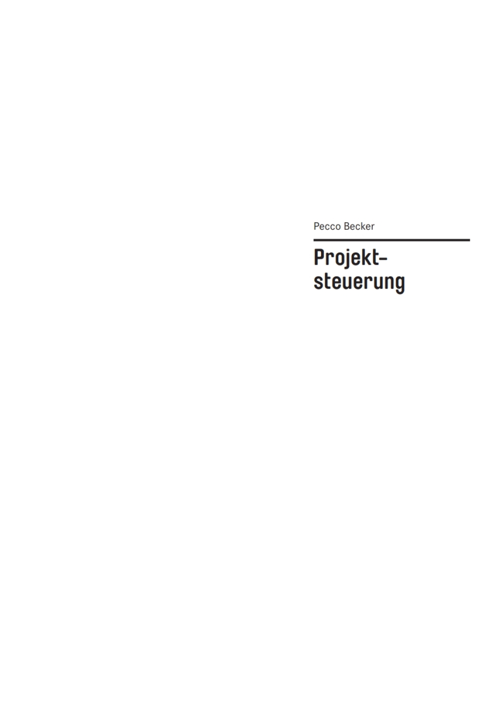 Basics Projektsteuerung 1st Edition