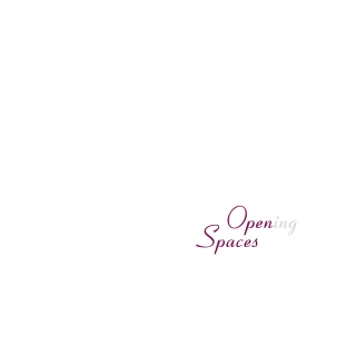 Cover image: Open(ing) Spaces 2nd edition 9783035626186