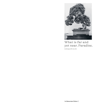 Cover image: Borrowed Sceneries 1st edition 9783035626476