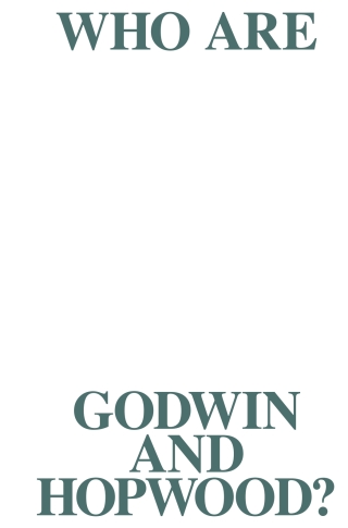 Omslagafbeelding: Who Are Godwin and Hopwood? 1st edition 9783035626681