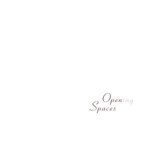 Cover image: Open(ing) Spaces 1st edition 9783038214878