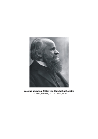 Cover image: Meinongian Issues in Contemporary Italian Philosophy 1st edition 9783110333015