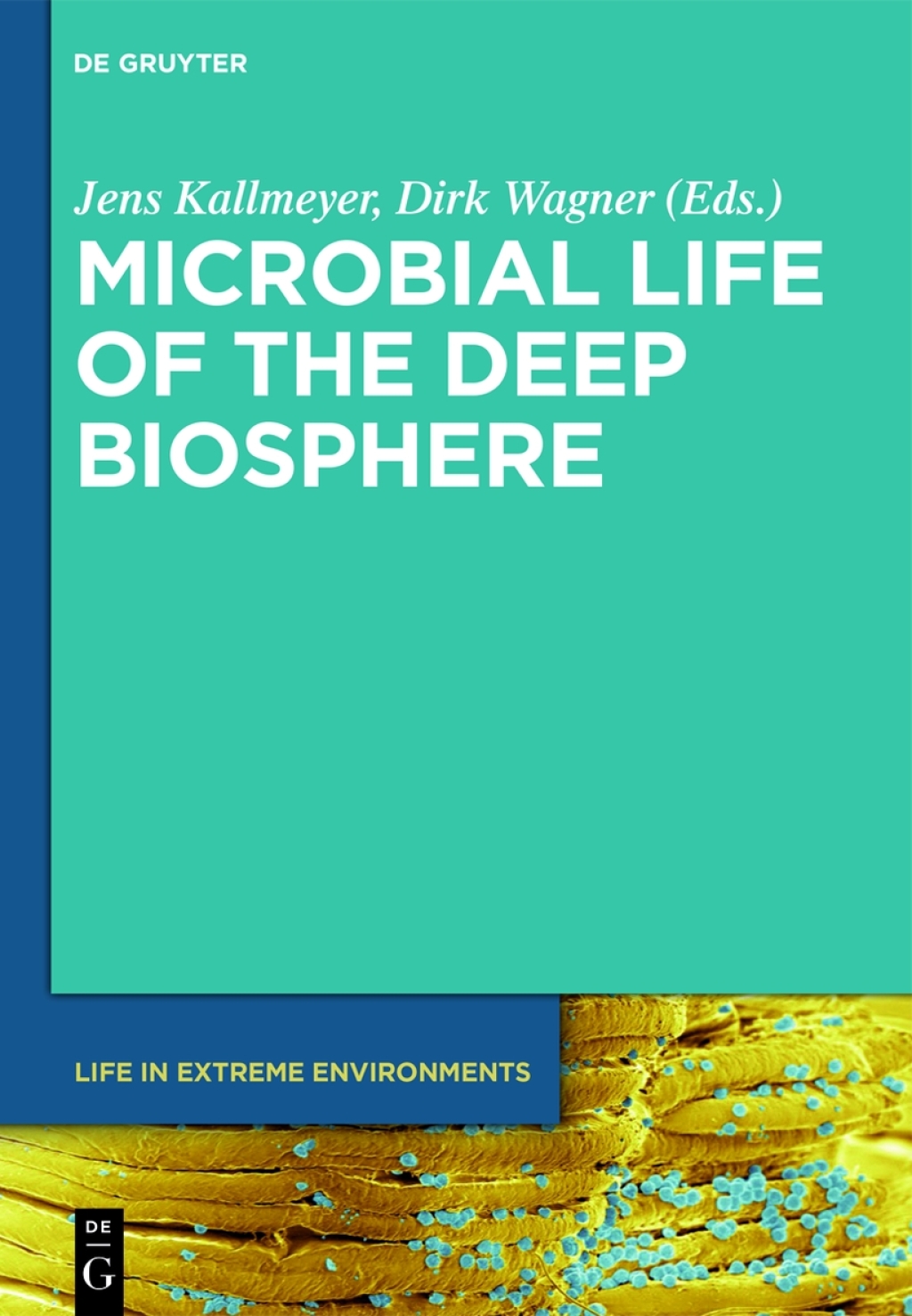Microbial Life of the Deep Biosphere 1st Edition