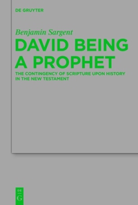 Omslagafbeelding: David Being a Prophet 1st edition 9783110358896