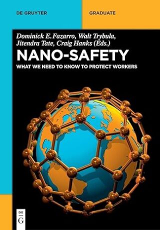 صورة الغلاف: Nano-Safety 1st edition 9783110373752