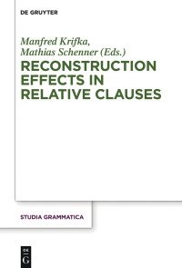 Imagen de portada: Reconstruction Effects in Relative Clauses 1st edition 9783050062747