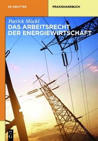 Cover image: Das Arbeitsrecht der Energiewirtschaft 1st edition 9783110334487