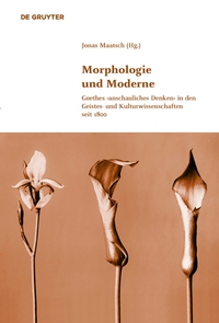 صورة الغلاف: Morphologie und Moderne 1st edition 9783110372120
