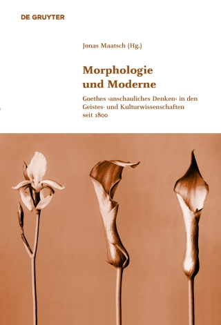 Imagen de portada: Morphologie und Moderne 1st edition 9783110372120