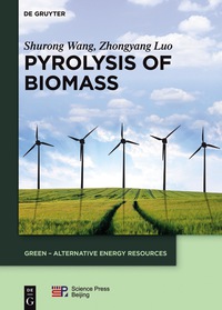 Cover image: Pyrolysis of Biomass 1st edition 9783110374575