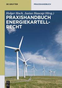 Cover image: Unternehmensgeschichte im 19. und 20. Jahrhundert 1st edition 9783486581041