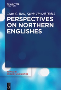 صورة الغلاف: Perspectives on Northern Englishes 1st edition 9783110448658