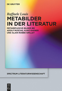 Cover image: Metabilder in der Literatur 1st edition 9783110448276