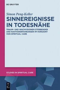 Cover image: Sinnereignisse in Todesnähe 1st edition 9783110473162