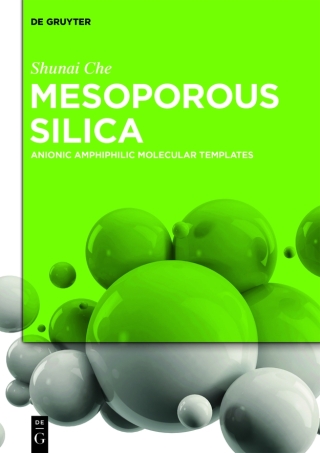 Imagen de portada: Mesoporous Silica 1st edition 9783110554205