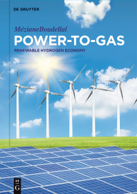 Imagen de portada: Power-to-Gas 1st edition 9783110558814