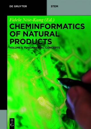 Immagine di copertina: Fundamental Concepts 1st edition 9783110579338