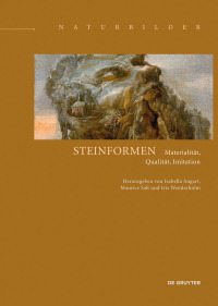 表紙画像: Steinformen 1st edition 9783110581997