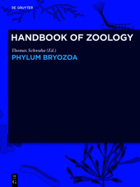 Cover image: Phylum Bryozoa 1st edition 9783110585407