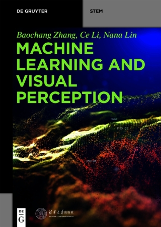 صورة الغلاف: Machine Learning and Visual Perception 1st edition 9783110595536