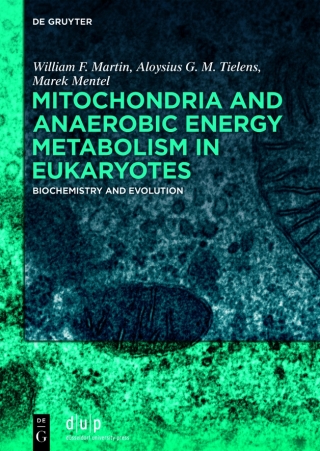 Cover image: Mitochondria and Anaerobic Energy Metabolism in Eukaryotes 1st edition 9783110666779
