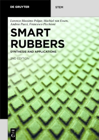 Imagen de portada: Smart Rubbers 1st edition 9783110638929