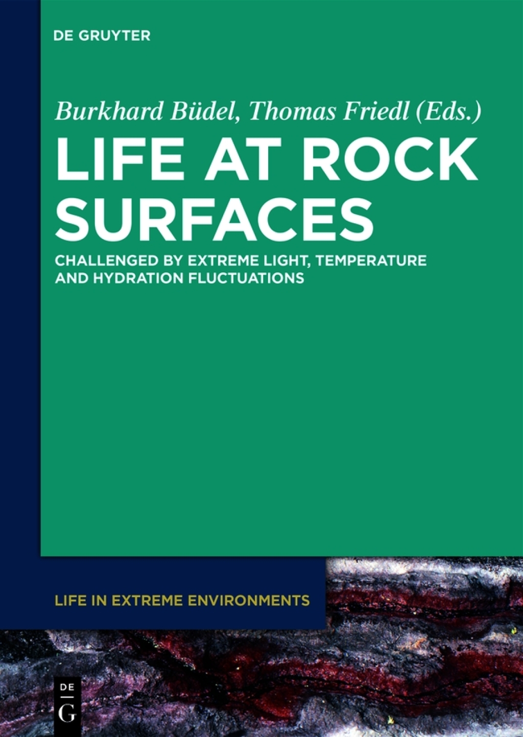 Life at Rock Surfaces Challenged by Extreme Light, Temperature and Hydration Fluctuations 1st Edition