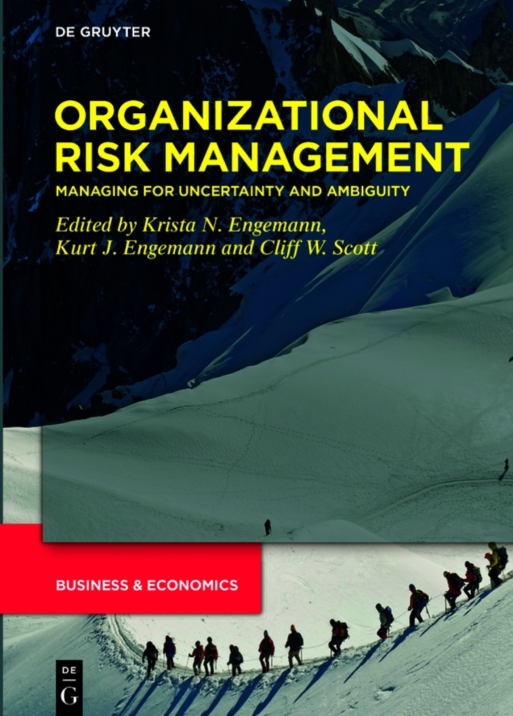 Organizational Risk Management Managing for Uncertainty and Ambiguity 1st Edition