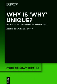 Cover image: Why is ‘Why’ Unique? 1st edition 9783110675115