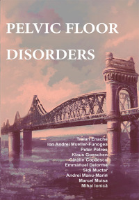 Omslagafbeelding: Pelvic floor disorders 1st edition 9783110683608