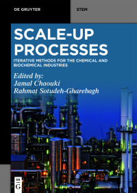 Imagen de portada: Scale-Up Processes 1st edition 9783110713930
