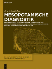 Cover image: Mesopotamische Diagnostik 1st edition 9783110715231