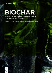 Imagen de portada: BioChar 1st edition 9783110738582