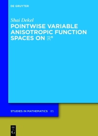 صورة الغلاف: Pointwise Variable Anisotropic Function Spaces on ℝⁿ 1st edition 9783110761764