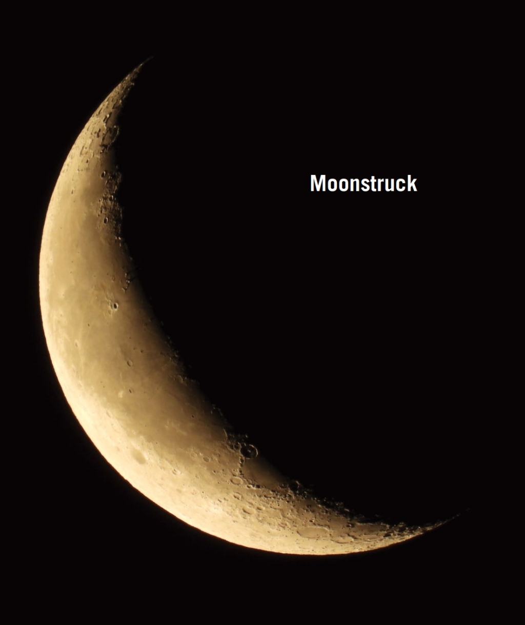 Moonstruck The Interplay of Celestial Bodies in Pictures 1st Edition