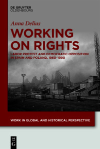 صورة الغلاف: Working on Rights 1st edition 9783110768855