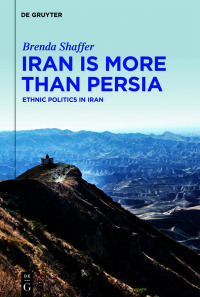 صورة الغلاف: Iran is More Than Persia 1st edition 9783110796216