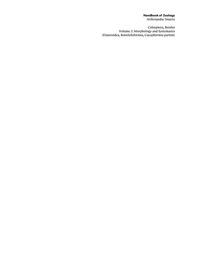 Titelbild: Morphology and Systematics (Elateroidea, Bostrichiformia, Cucujiformia partim) 1st edition 9783110190755