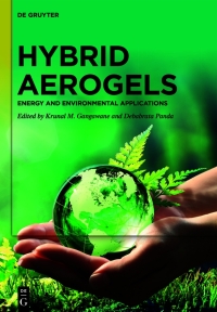 Imagen de portada: Hybrid Aerogels 1st edition 9783111251356